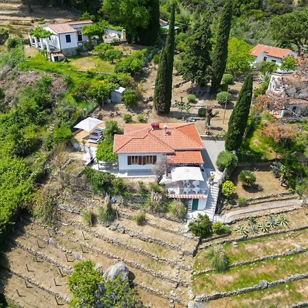 Casa Panoramica Bouganville SantʼAndrea 외부 사진