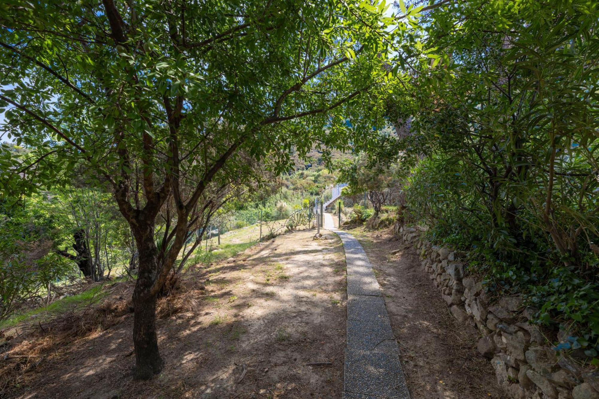 Casa Panoramica Bouganville SantʼAndrea 외부 사진