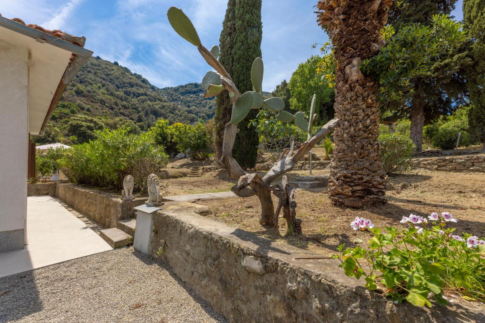 Casa Panoramica Bouganville SantʼAndrea 외부 사진