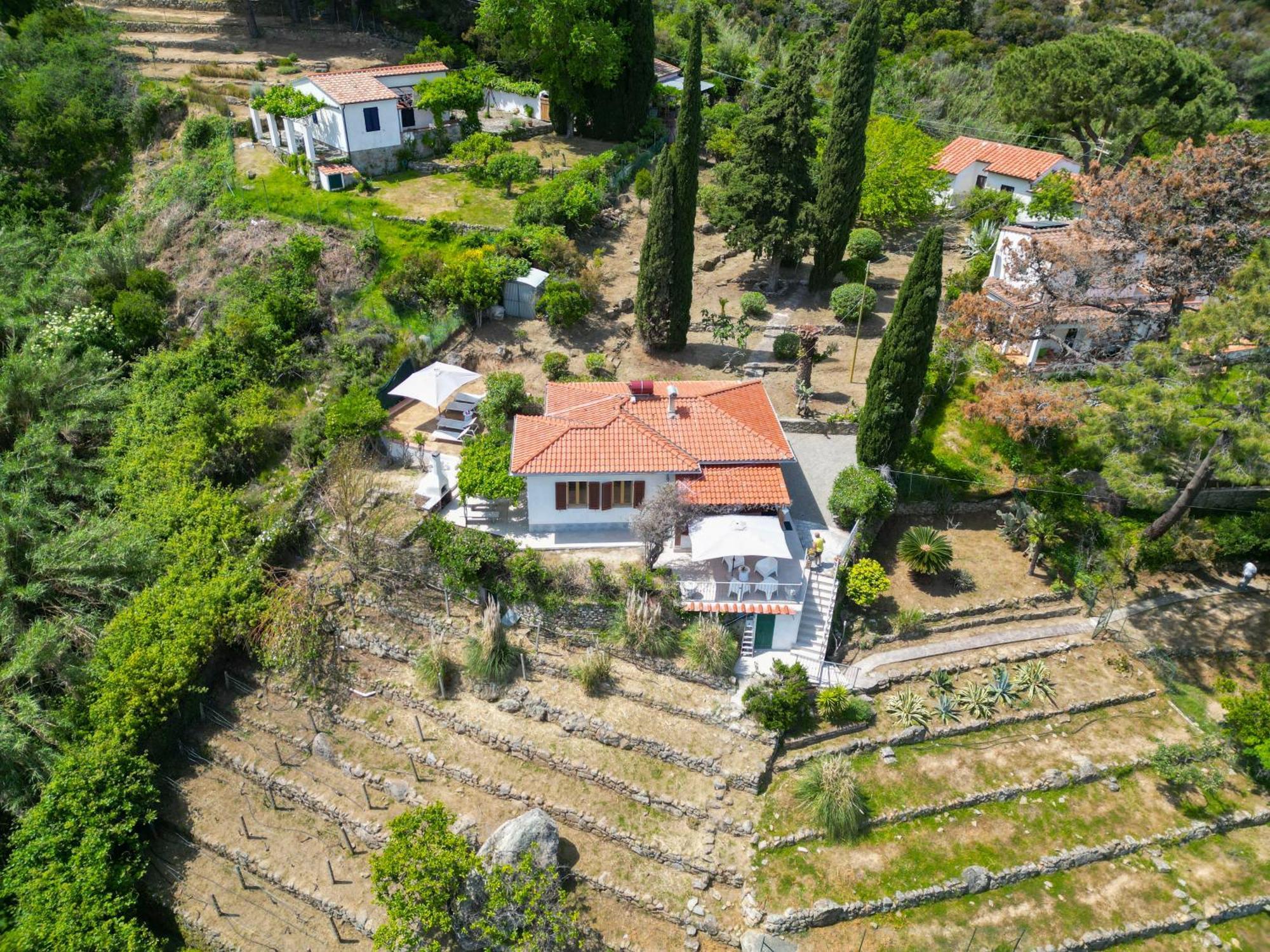 Casa Panoramica Bouganville SantʼAndrea 외부 사진